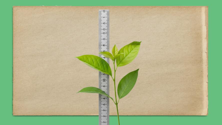 7 نصائح فعالة لتقييم أداء موظفيك مع الحفاظ على ثقتهم بأنفسهم