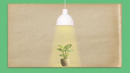 تأثير بقعة الضوء