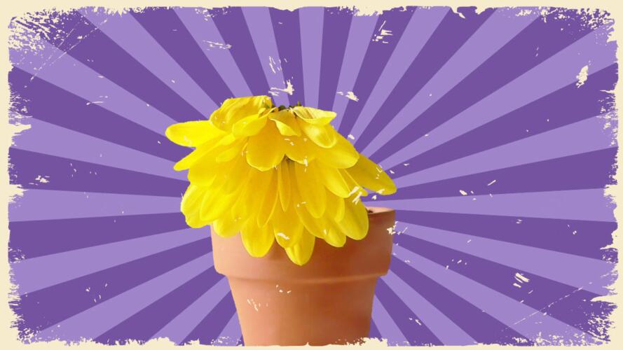 اكتئاب الربيع