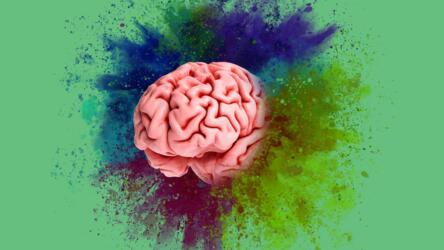 الفوضى والإبداع