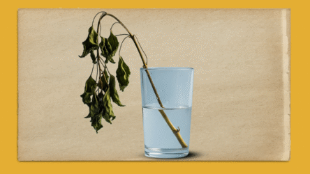 قلة شرب الماء قد تزيد ضغوطك النفسية