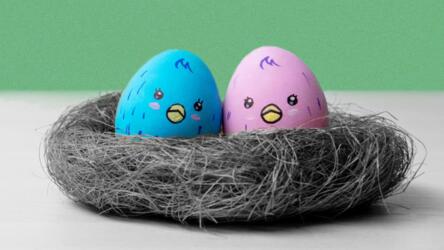 إنجاب التوائم