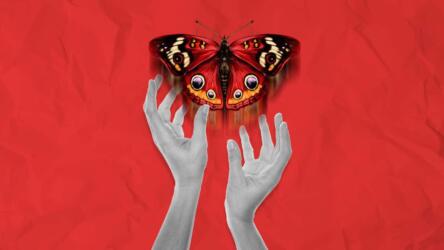 استبداد المشاعر