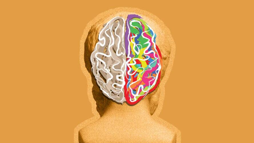 نصف الكرة المهيمن من أدمغتنا