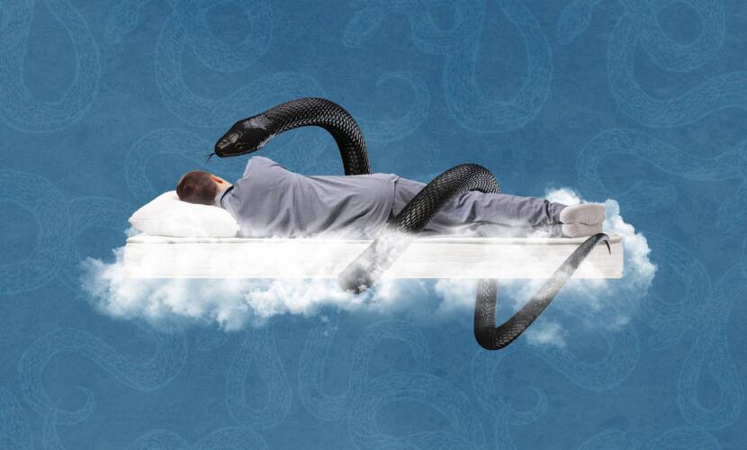 رؤية الثعبان في الأحلام