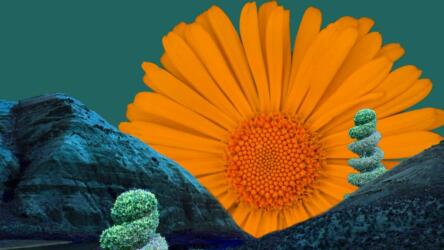 الحضور القوي