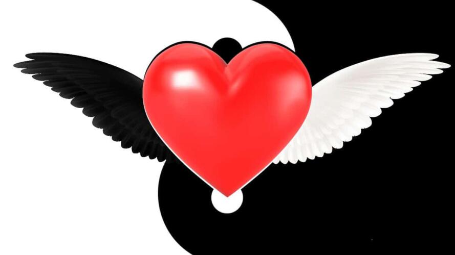 الخير الفطري