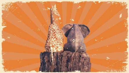 الصداقة الصحية