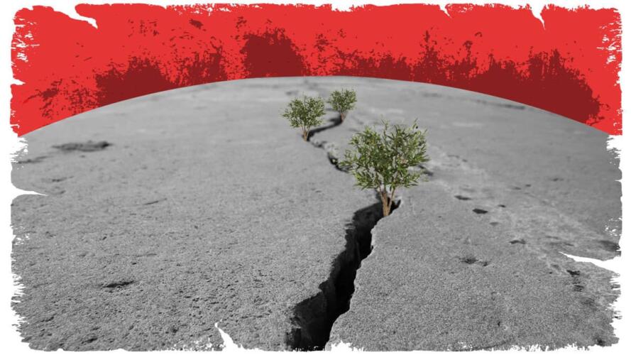 الصدمة المرتبطة بالكوارث