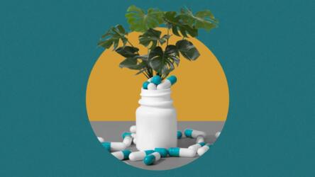 العلاجات النباتية