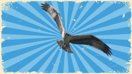 الأشخاص الذين يقللون من قيمتك