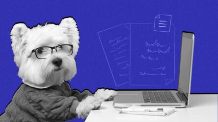 العلاج بمساعدة الحيوانات