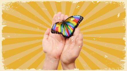 المفاهيم الخاطئة