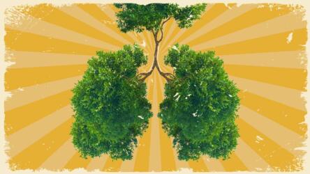 تقنيات التنفس