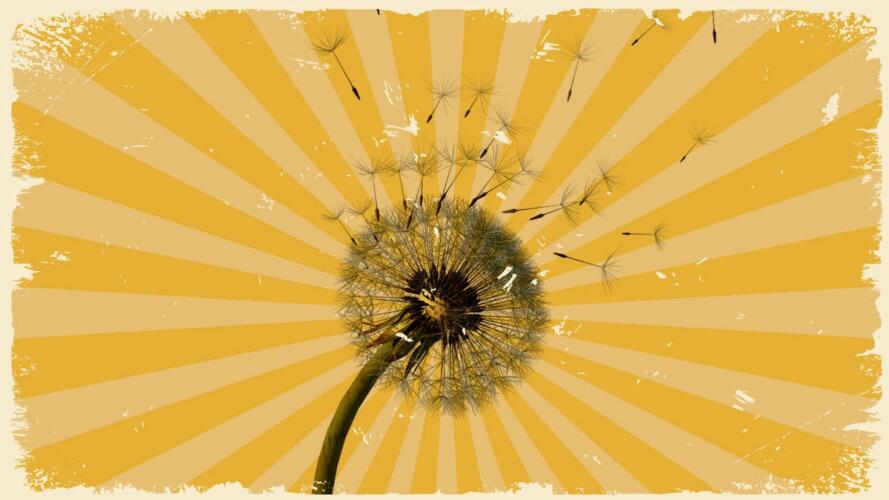 عدوى السعادة