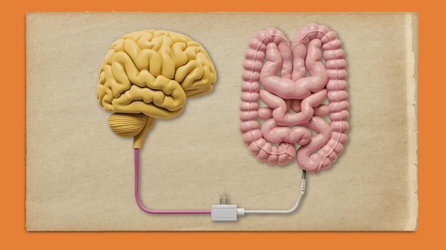 جذور الوسواس القهري