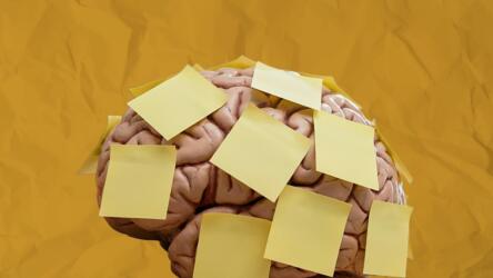 تحيز الإكمال