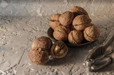 حصاد العلوم الأسبوعي 24 شباط 2025