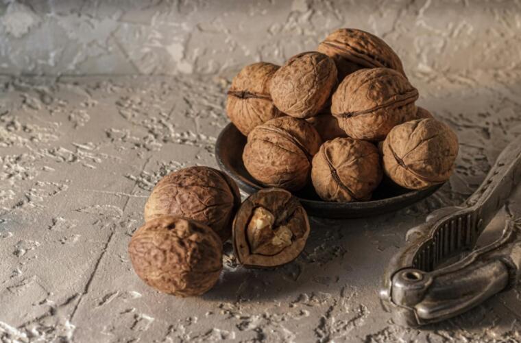 حصاد العلوم الأسبوعي 24 شباط 2025