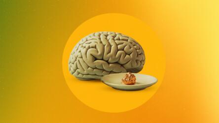 دراسة حديثة: تضمين عنصر النحاس في النظام الغذائي يعزز الشيخوخة الصحية