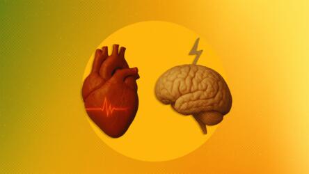 ما الفرق بين النوبات القلبية والسكتات الدماغية؟ وما هي الإسعافات الضرورية؟