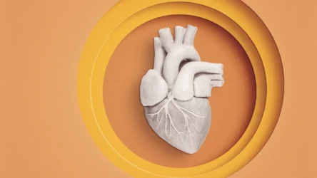 هل يمكن إنعاش القلب دون الحاجة إلى جسم المتبرع؟