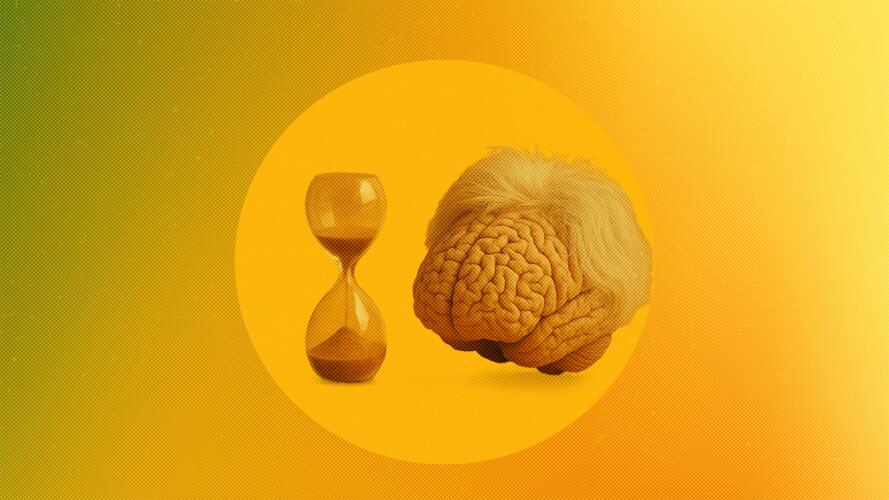 باحثون من جامعة هارفارد يحددون 17 عاملاً يسرّع شيخوخة الدماغ