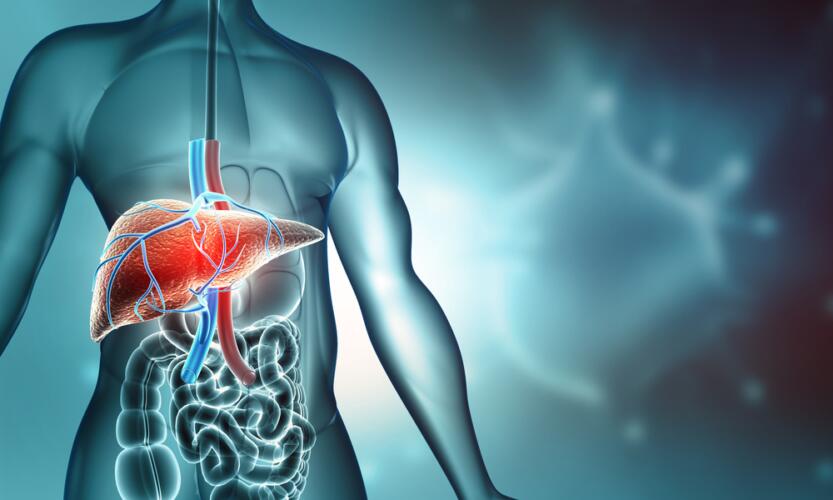 تناول الخضروات يقي من سرطان الكبد بنسبة 65% وفق دراسة جديدة