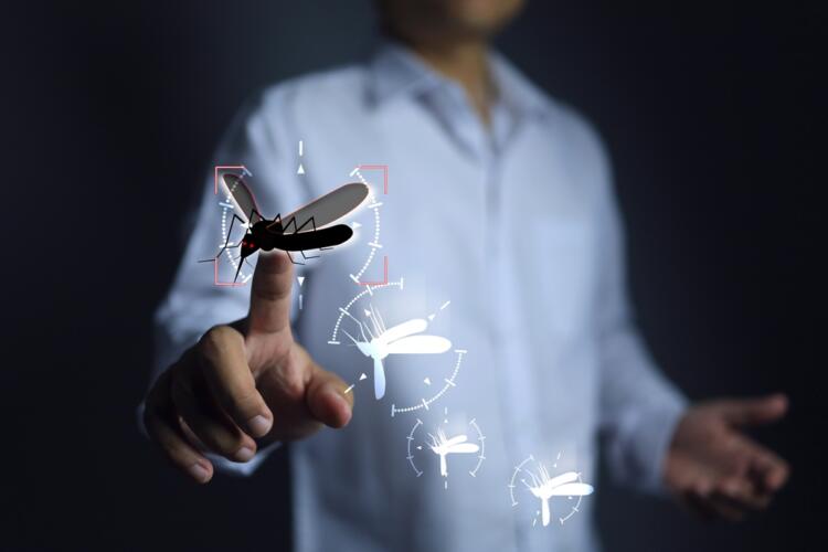 خبراء سعوديون يحذرون من انتشار الملاريا من اليمن إلى دول الخليج العربي