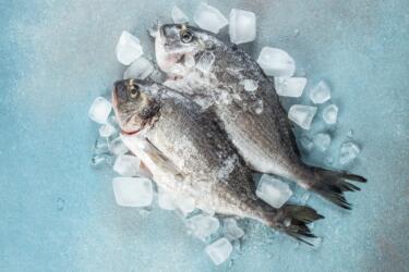 علمياً: احذر السمك القديم حتى لو شكله طازج!