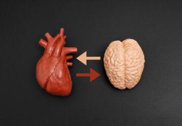 صحة قلب أفضل تعني صحة دماغ أفضل وحماية أكبر من الخرف وفقاً لدراسة حديثة