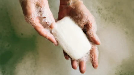 كيف ينظف الصابون أجسامنا؟