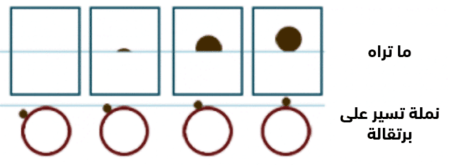 لماذا تخفي ناسا أن الأرض مسطحة