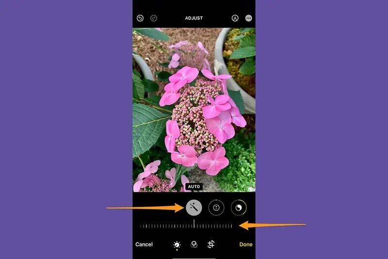 يؤدي نقر هذا الزر وحده إلى إجراء العديد من التغييرات على الصورة. صورة الشاشة: شركة آبل، ديبي وولف