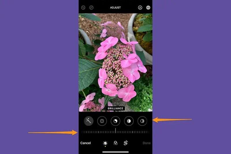 كلما استخدمت أدوات تعديل الصور على جهاز آيفون أكثر، أصبحت أكثر دراية بالطريقة التي تغيّر فيها هذه التعديلات الصور. صورة الشاشة: شركة آبل، ديبي وولف