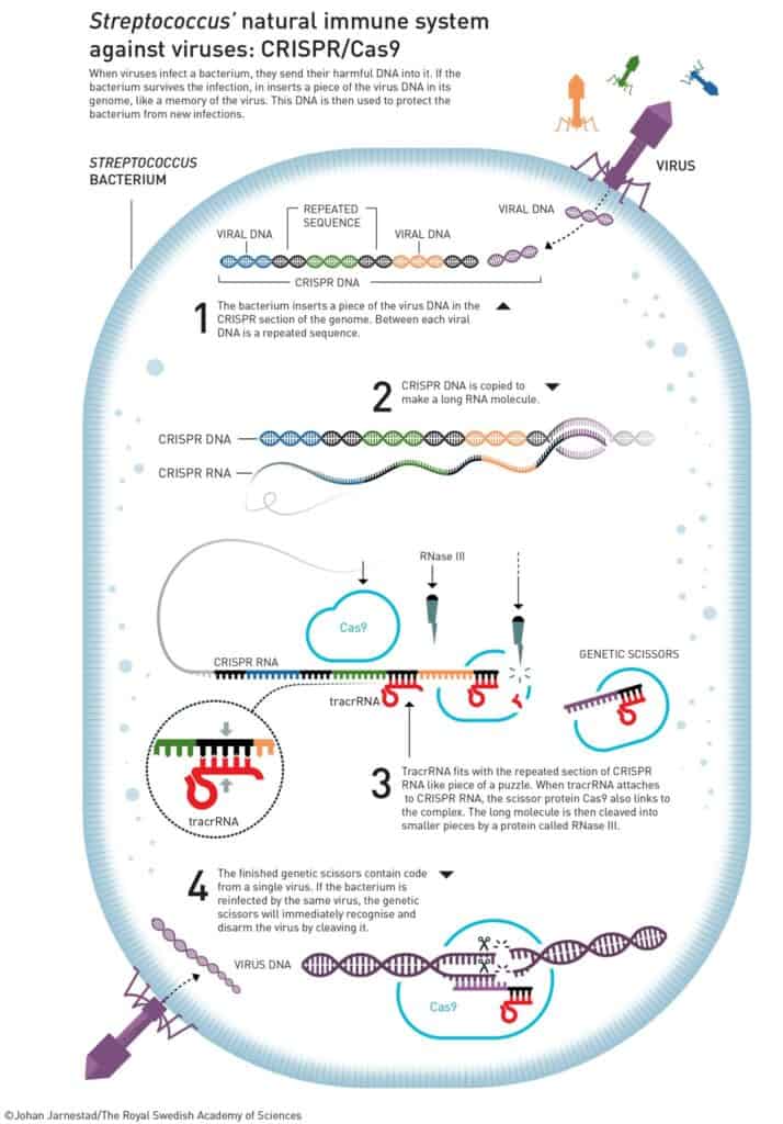 نوبل في الكيمياء