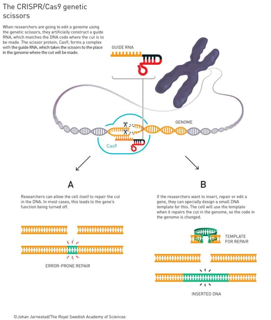 نوبل في الكيمياء