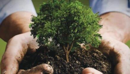 السعودية الخضراء