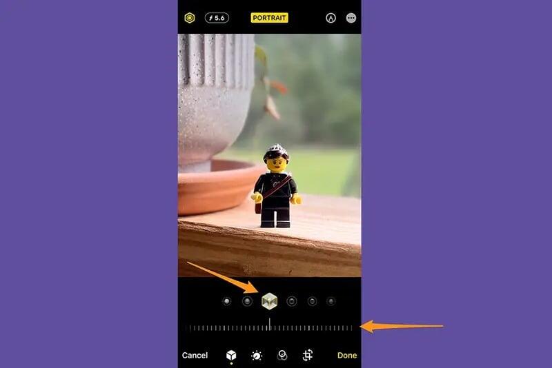 يمكن أن يمنح التلاعب بتأثيرات الإضاءة في الوضع الرأسي الصور المظهر الذي تريده. صورة الشاشة: شركة آبل، ديبي وولف