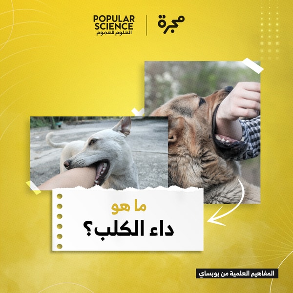 داء الكلب