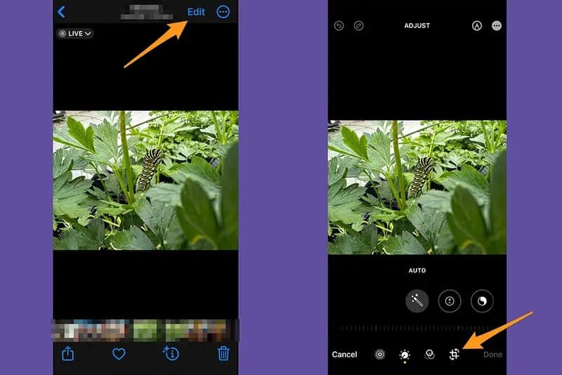 قد يكون العثور على خيار التعديل سهلاً، ولكن قد لا يكون شكل رمز القص مألوفاً بالنسبة لك. صورة الشاشة: شركة آبل، ديبي وولف