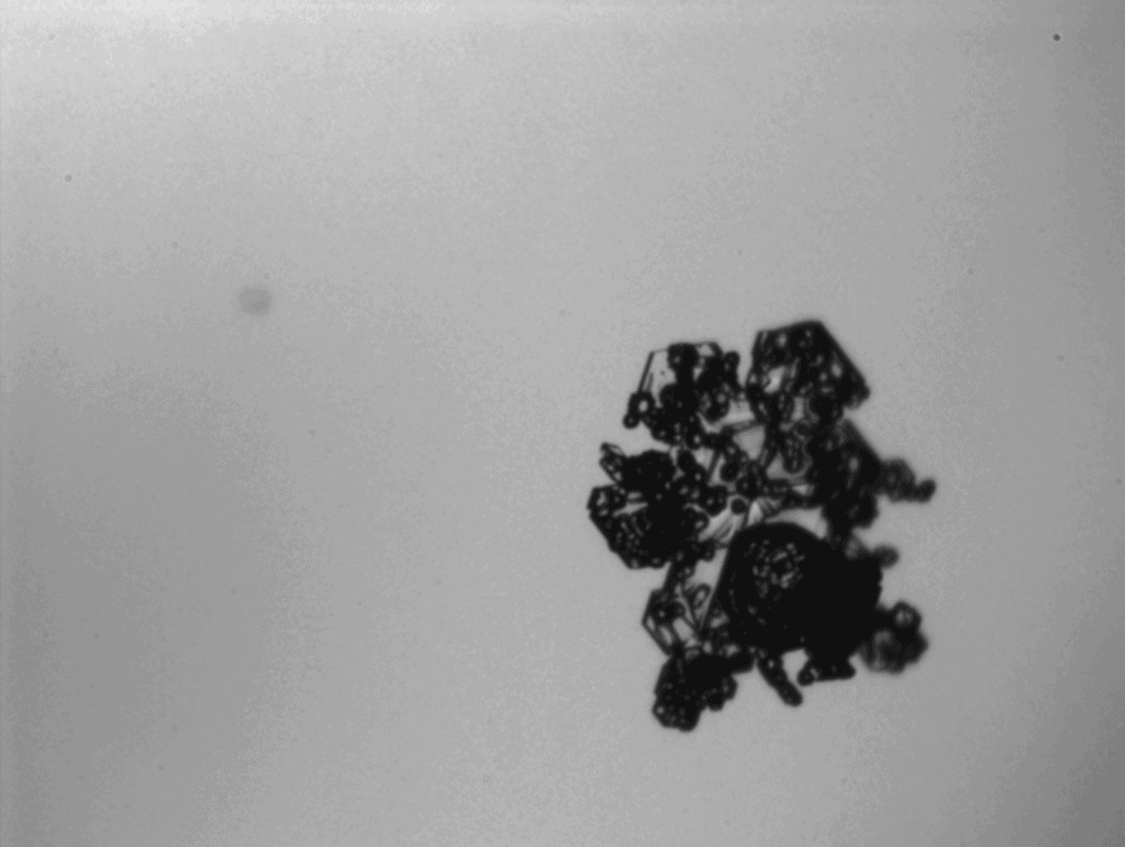 كيف تستخدم وكالة ناسا الطائرات المطاردة للعواصف لتحسين تنبؤات تساقط الثلوج؟