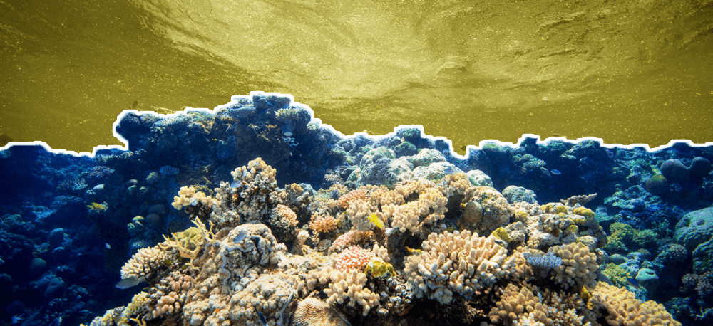 10 أحداث رسمت ملامح عام 2021 العلمية