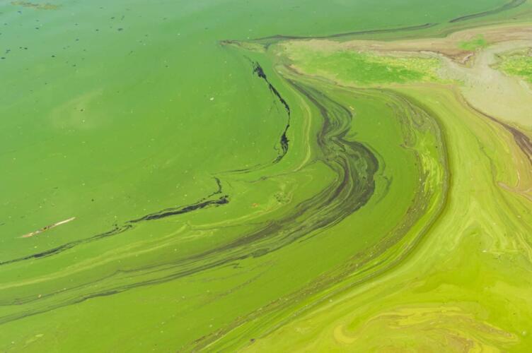 حدث الأكسجة العظيمة