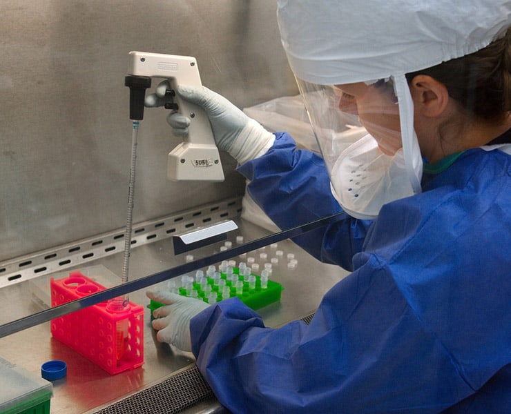 كورونا فيروس, كورونا نوفل, فيروسات, الصحة