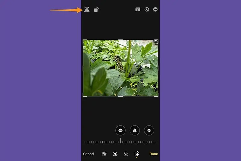 استخدم هذا الرمز للحصول على نسخ معكوسة من الصور. صورة الشاشة: شركة آبل، ديبي وولف