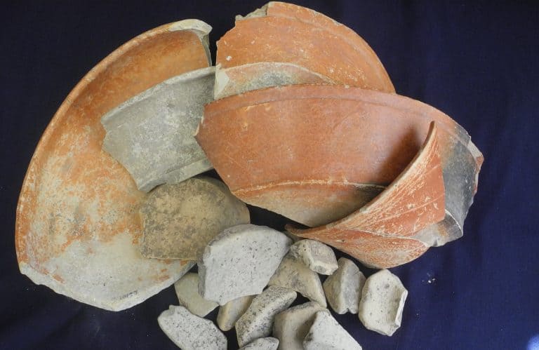 بحث جديد: استهلاك الكاكاو لم يقتصر على الطبقة الملكية عند شعب المايا فقط