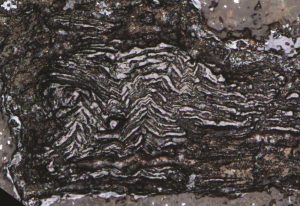 يتلألأ الماس الفضائي من أنقاض كوكب قزم محطم