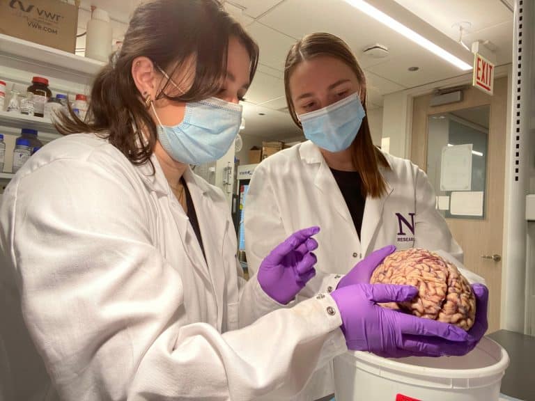 لماذا يمتلك بعض كبار السن ذاكرة خارقة وقدرات معرفية فريدة؟