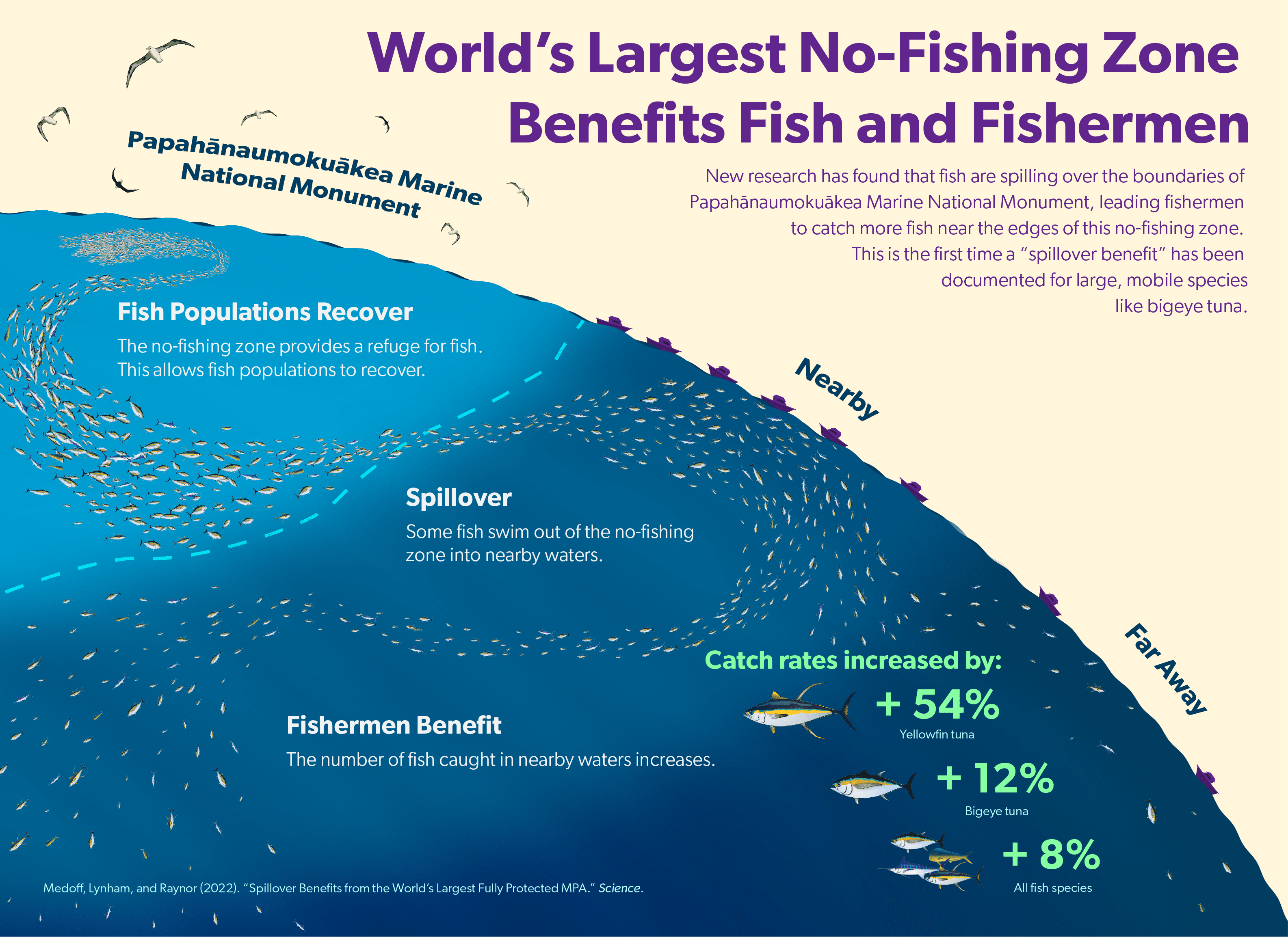 Fish populations thrive near marine protected areas—and so do fishers